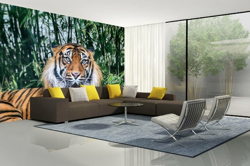 Vlies Fototapete - Sumatra-Tiger 375 x 250 cm